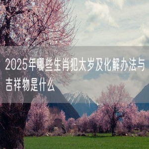 2025年哪些生肖犯太岁及化解办法与吉祥物是什么