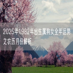 2025年1982年出生属狗女全年运势之农历月份解析