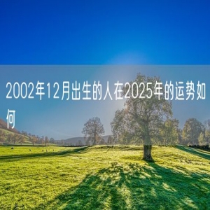 2002年12月出生的人在2025年的运势如何