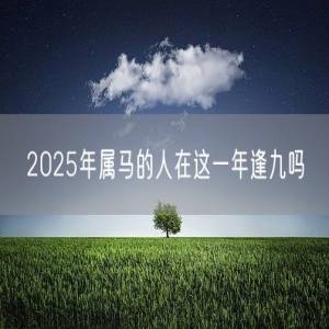 2025年属马的人在这一年逢九吗