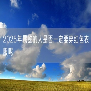 2025年属蛇的人是否一定要穿红色衣服呢