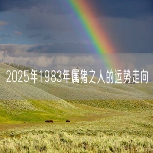 2025年1983年属猪之人的运势走向