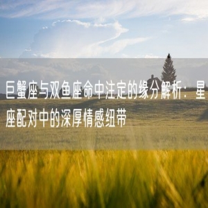 巨蟹座与双鱼座命中注定的缘分解析：星座配对中的深厚情感纽带