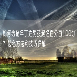 如何给猪年丁姓男孩起名百分百100分？起名方法和技巧详解