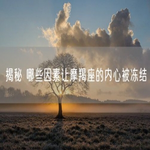揭秘 哪些因素让摩羯座的内心被冻结