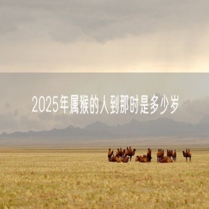 2025年属猴的人到那时是多少岁