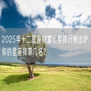 2025年十二星座财富运势排行榜出炉，你的星座排第几名？
