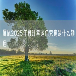属鼠2025年最旺幸运色究竟是什么颜色