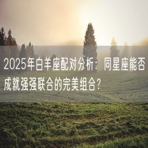 2025年白羊座配对分析：同星座能否成就强强联合的完美组合？