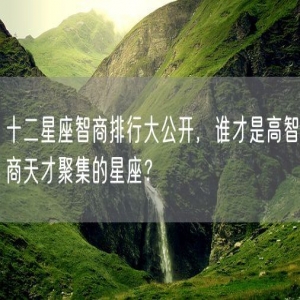 十二星座智商排行大公开，谁才是高智商天才聚集的星座？