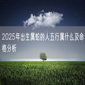 2025年出生属蛇的人五行属什么及命格分析