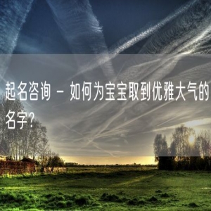 起名咨询 - 如何为宝宝取到优雅大气的名字？