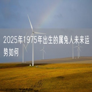 2025年1975年出生的属兔人未来运势如何
