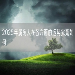 2025年属兔人在各方面的运势究竟如何