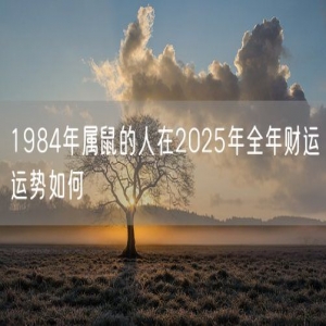 1984年属鼠的人在2025年全年财运运势如何