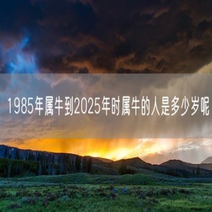 1985年属牛到2025年时属牛的人是多少岁呢