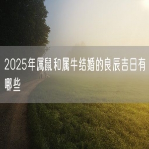 2025年属鼠和属牛结婚的良辰吉日有哪些