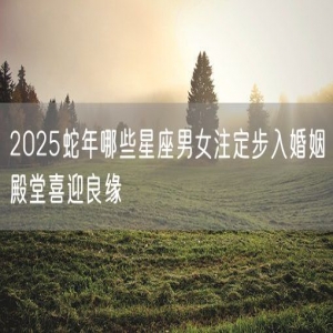 2025蛇年哪些星座男女注定步入婚姻殿堂喜迎良缘