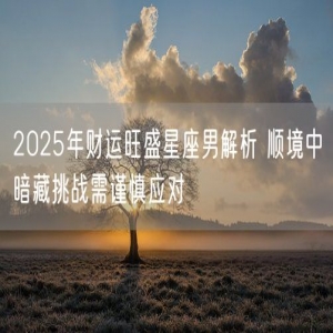 2025年财运旺盛星座男解析 顺境中暗藏挑战需谨慎应对