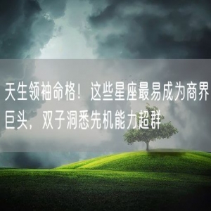 天生领袖命格！这些星座最易成为商界巨头，双子洞悉先机能力超群