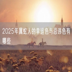 2025年属蛇人的幸运色与忌讳色有哪些