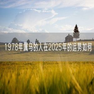 1978年属马的人在2025年的运势如何
