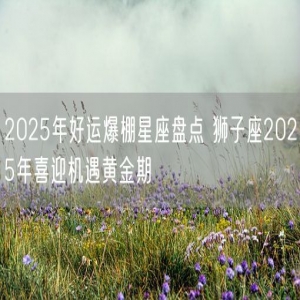 2025年好运爆棚星座盘点 狮子座2025年喜迎机遇黄金期