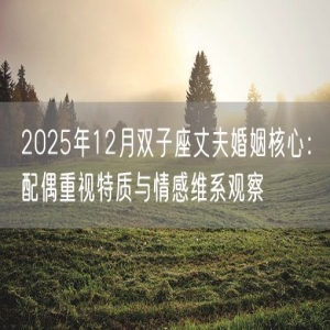 2025年12月双子座丈夫婚姻核心：配偶重视特质与情感维系观察