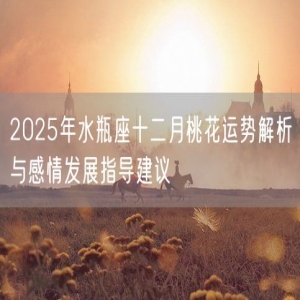 2025年水瓶座十二月桃花运势解析与感情发展指导建议
