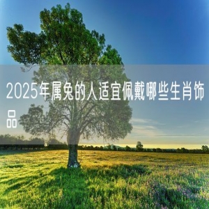 2025年属兔的人适宜佩戴哪些生肖饰品