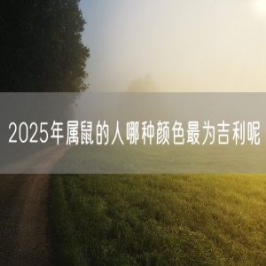 2025年属鼠的人哪种颜色最为吉利呢