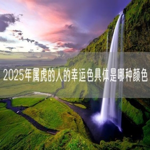 2025年属虎的人的幸运色具体是哪种颜色