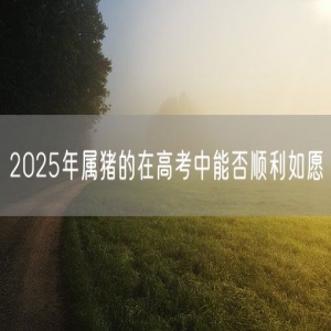 2025年属猪的在高考中能否顺利如愿