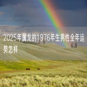 2025年属龙的1976年生男性全年运势怎样
