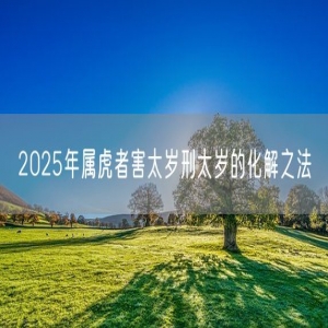 2025年属虎者害太岁刑太岁的化解之法