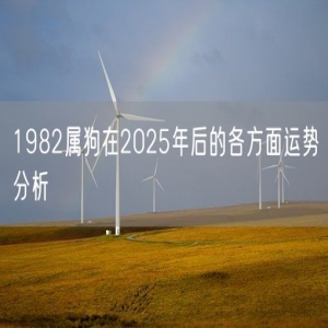 1982属狗在2025年后的各方面运势分析