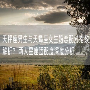 天秤座男生与天蝎座女生婚恋配对指数解析？两人星座适配度深度分析