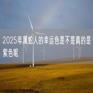 2025年属蛇人的幸运色是不是真的是紫色呢